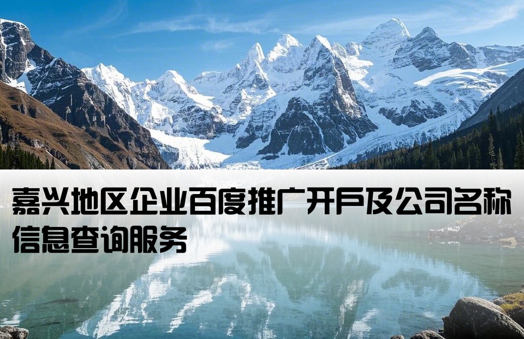 嘉兴百度开户公司名称查询