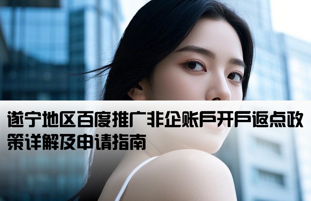 遂宁百度非企返点开户