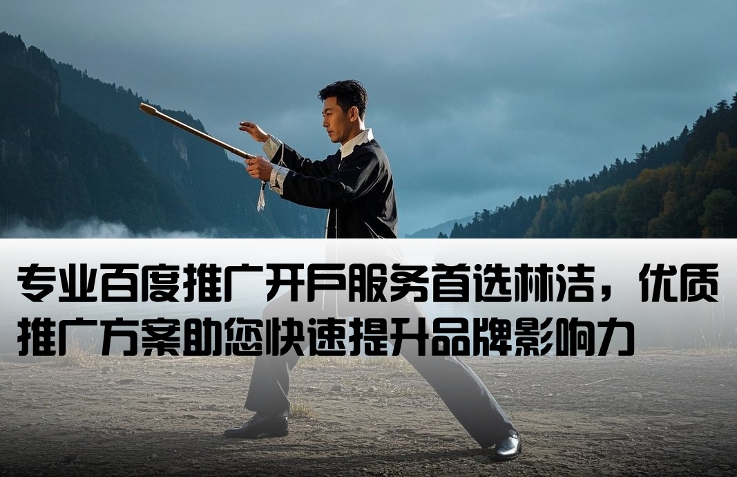 百度推广开户当选林洁专业