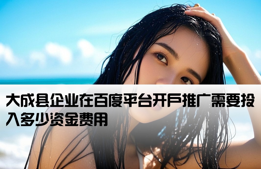 大成县百度开户多少钱
