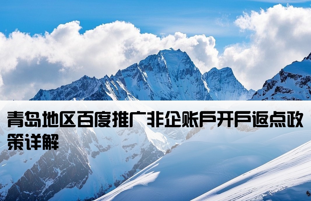 青岛百度非企返点开户