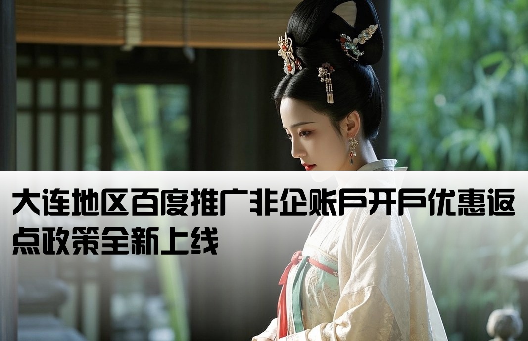 大连百度非企返点开户