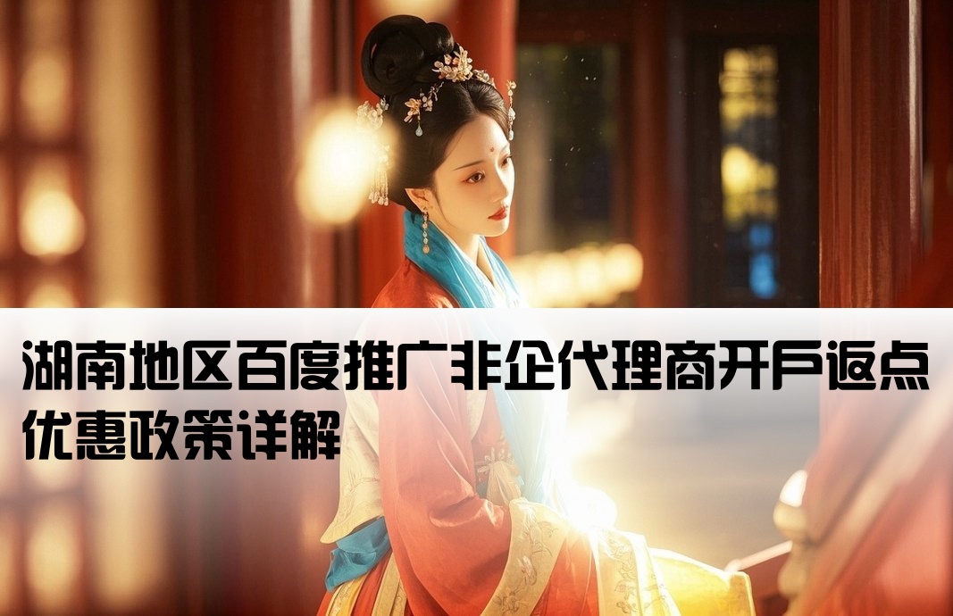 湖南百度非企返点开户