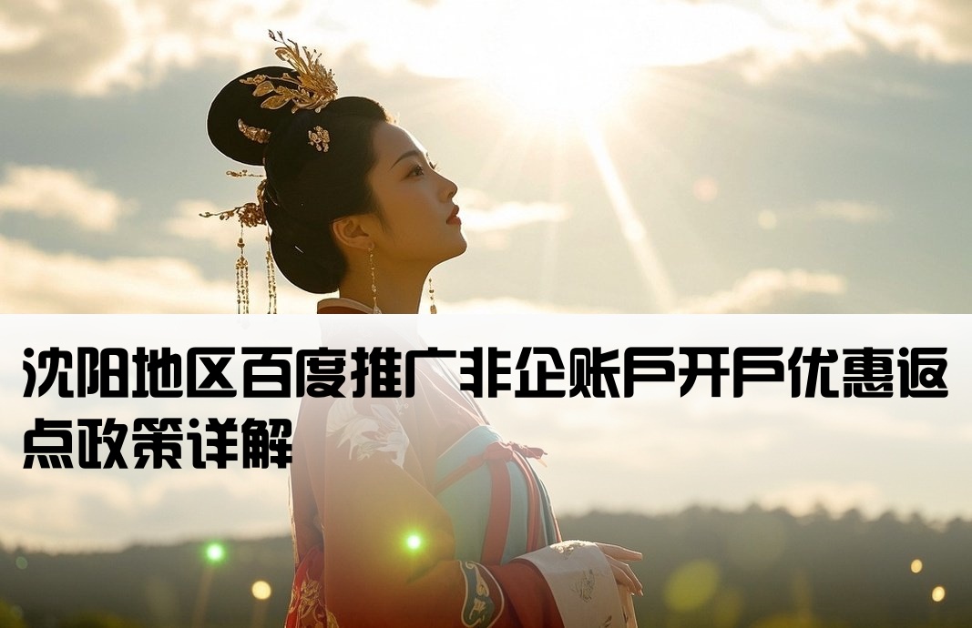 沈阳百度非企返点开户