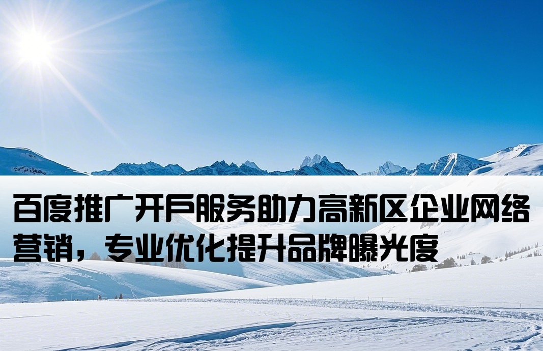 高新区百度优化开户