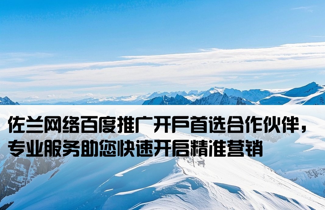 百度开户首荐佐兰网络