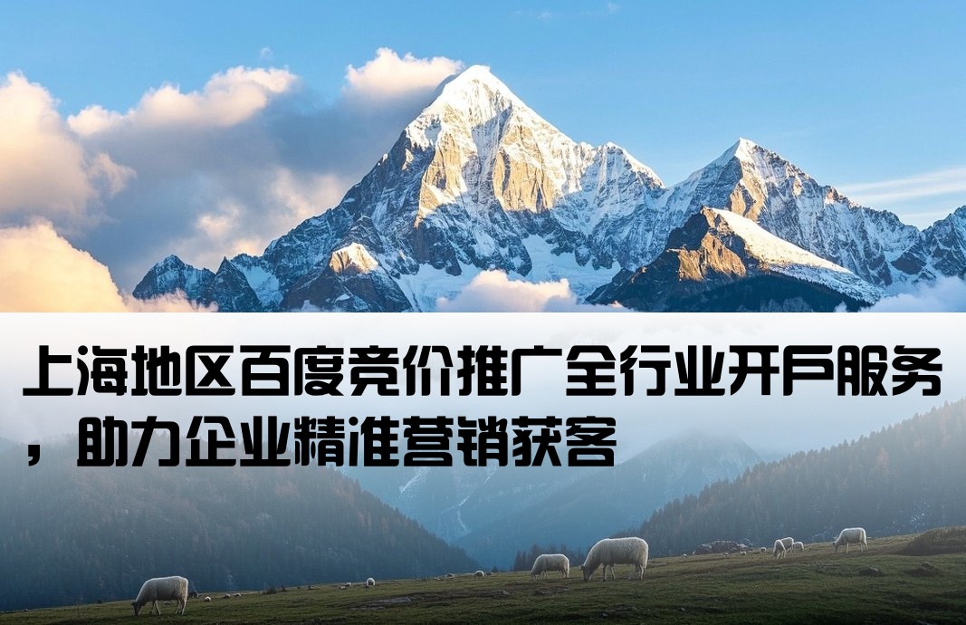 上海百度全行业开户竞价推广