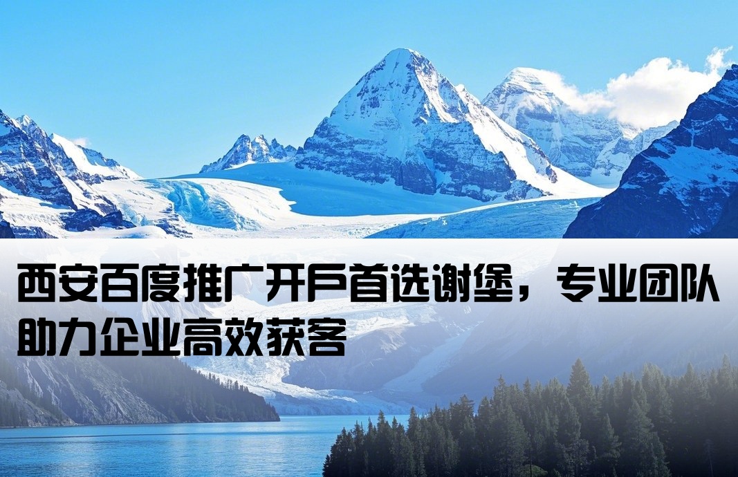 西安百度推广开户谢堡