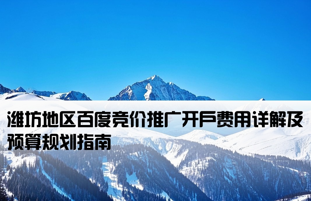 潍坊百度竞价开户多少钱